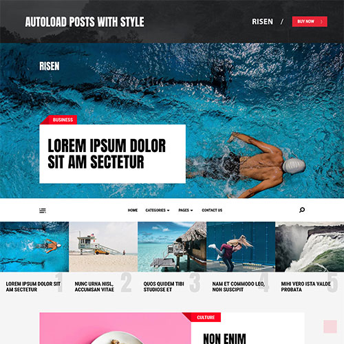 MyThemeShop Risen WordPress Teması