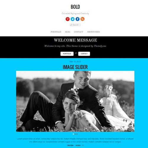Themify Bold WordPress Teması