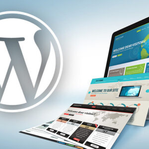 wordpress tema Özelleştirme hizmeti